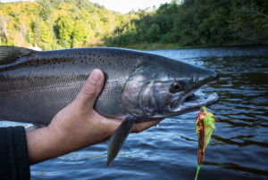 Garden River fishing report
