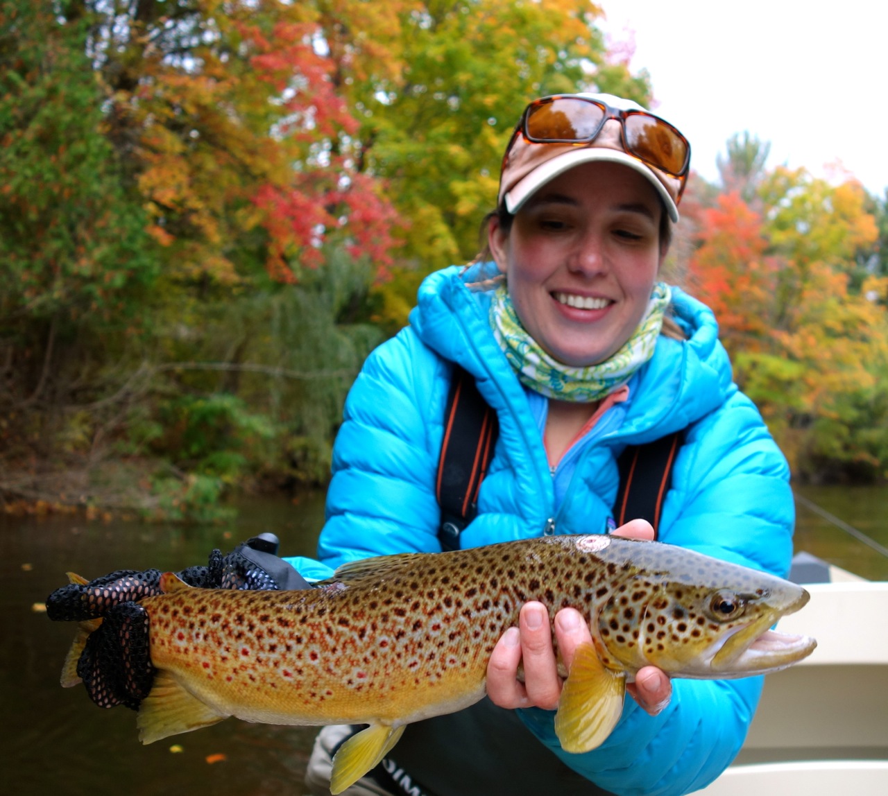 Trout Hawkins Outfitters Northern Michigan Fly Fishing and Wingshooting