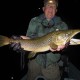 Manistee River Trout Fishing, Night Fishing, Mousing, Midnight Creeper, Frogs