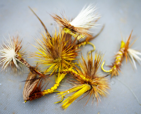 dry fly