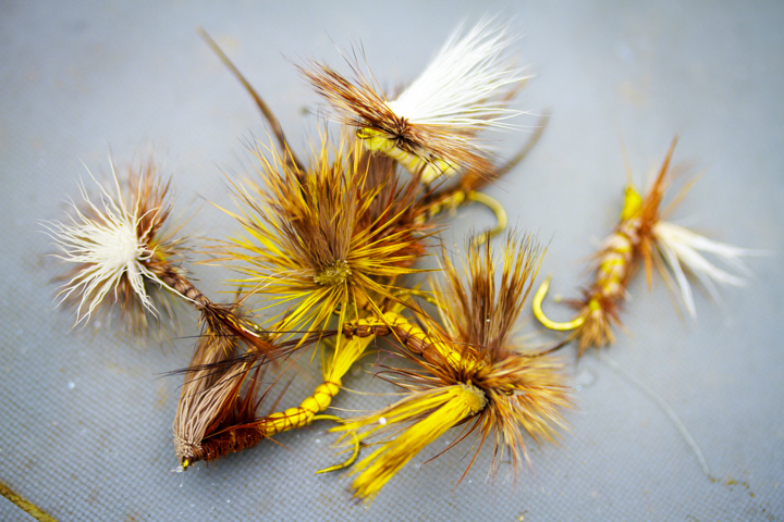Fly Patterns for Michigan Hatches - Hawkins Outfitters - Northern