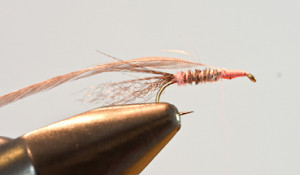 Hendrickson mayfly