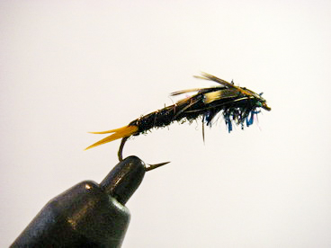 Black Stone Fly Nymph - Hawkins Outfitters - Northern Michigan Fly