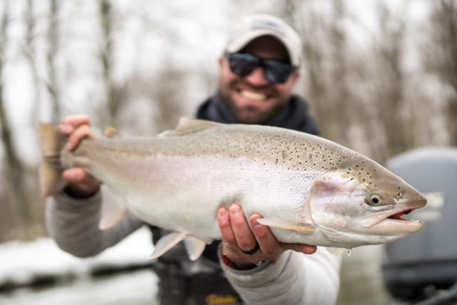 Fly Fishing for Fall Steelhead - Hawkins Outfitters - Northern Michigan Fly  Fishing and Wingshooting