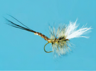 Drakes, Iysonychia, and Hex Patterns - Hawkins Outfitters - Northern  Michigan Fly Fishing and Wingshooting