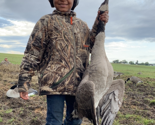 Kid with goose