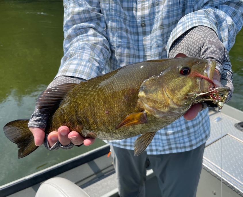 Manistee River Fishing Report - Below Tippy Dam | Hawkins Outfitters ...